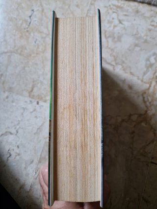 Il tesoro di Gengis Khan: Avventure di Dirk Pitt (Italian Edition)