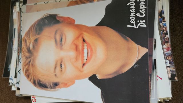 Posters Leonardo di Caprio