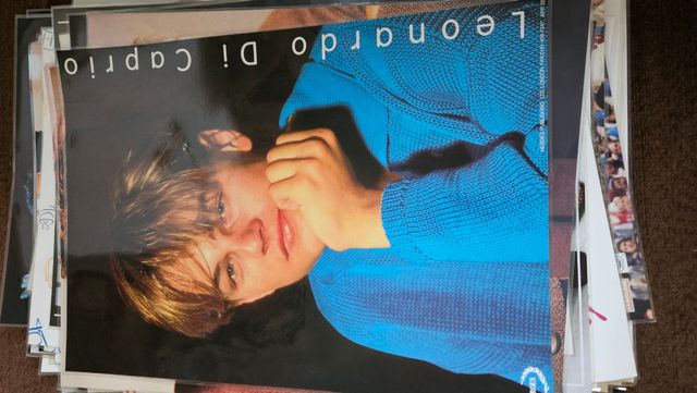 Posters Leonardo di Caprio