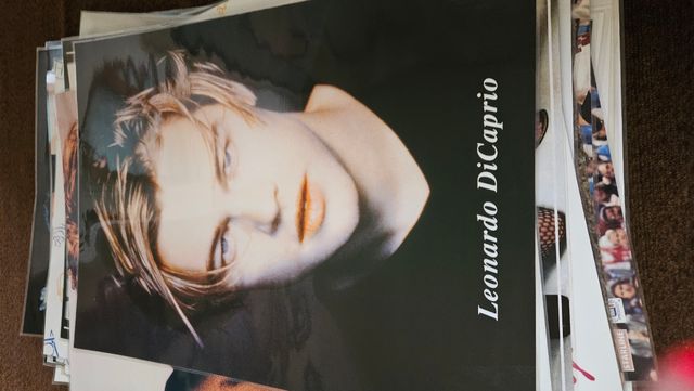 Posters Leonardo di Caprio