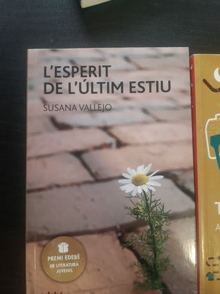 Libros lectura Valenciano