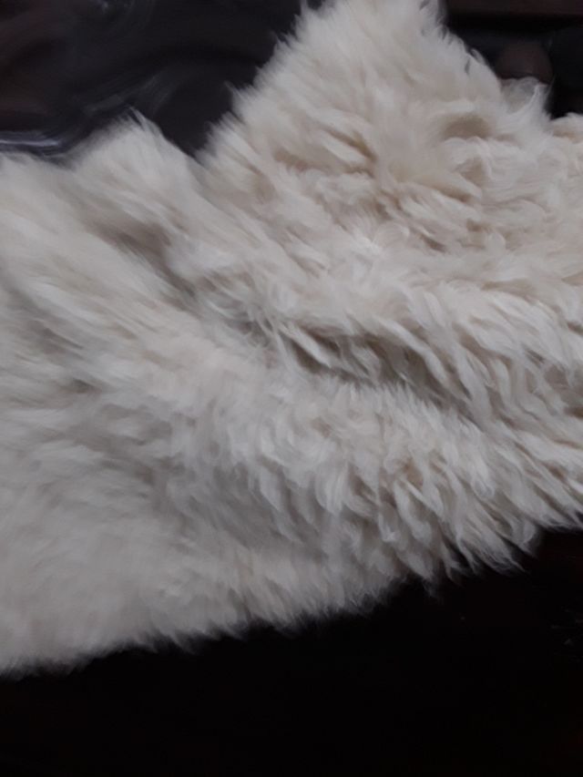 TAPETE DE ÁRVORE DE NATAL OU SIMILAR