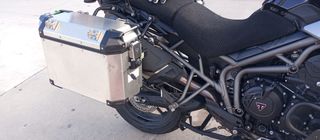 Triumph Tiger 800 XRX