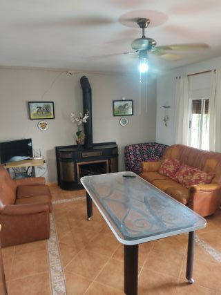 Campo vacaciones y celebraciones en Los Palacios