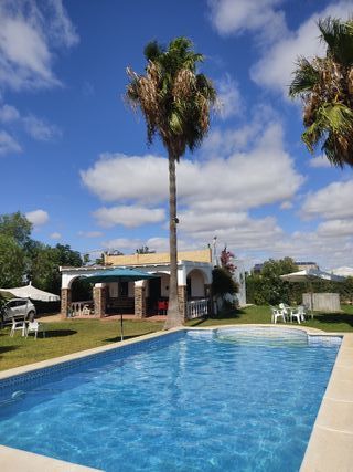 Campo vacaciones y celebraciones en Los Palacios