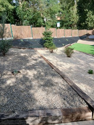 Podar y talas árboles limpieza parcelas 631355246