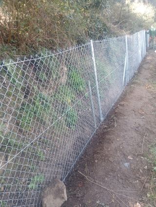 Podar y talas árboles limpieza parcelas 631355246