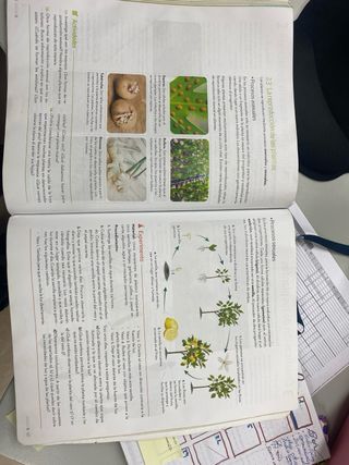 Biologia y Geologia de 1 ESO