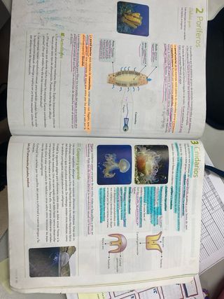 Biologia y Geologia de 1 ESO