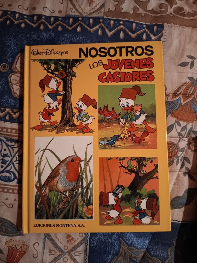 Nosotros los Jóvenes castores.