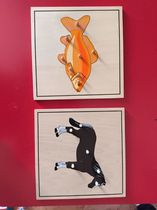 Puzzle montesori con espinas y huesos