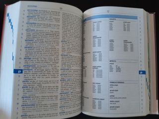 Diccionari Caramull Inicial + CD