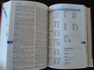 Diccionari Caramull Inicial + CD