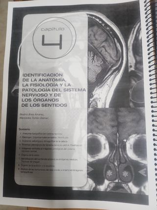 Anatomía por a Imagen 9788416141593
