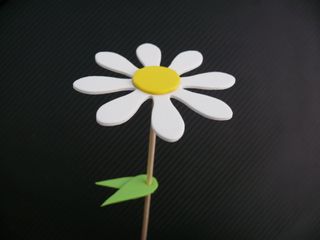 MARGARITA BLANCA VOLKSWAGEN NEW BEETLE FLOR