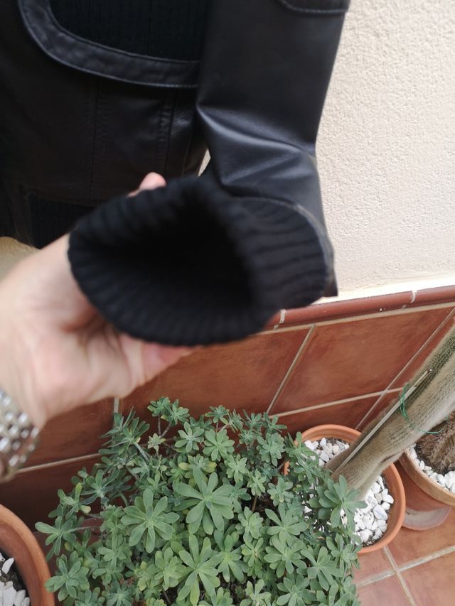 CHAQUETA NEGRA DE PIEL MANGO