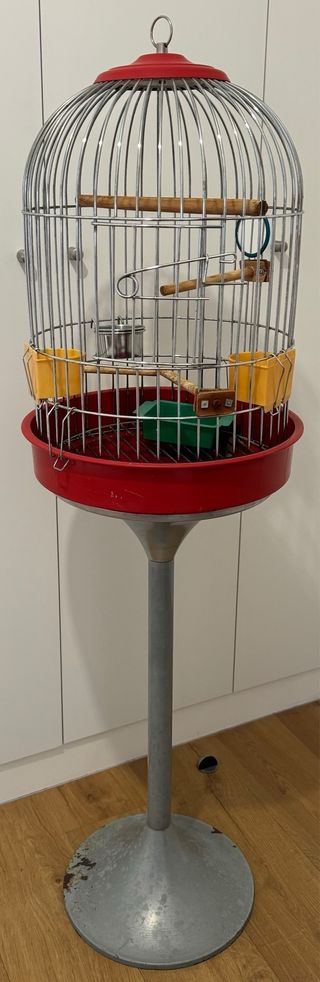 Jaula con pie