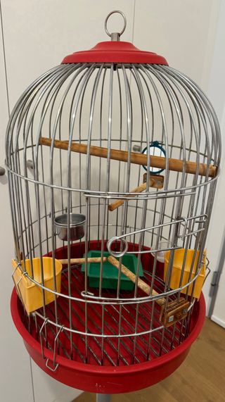 Jaula con pie