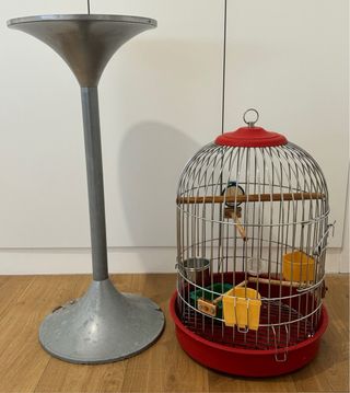 Jaula con pie