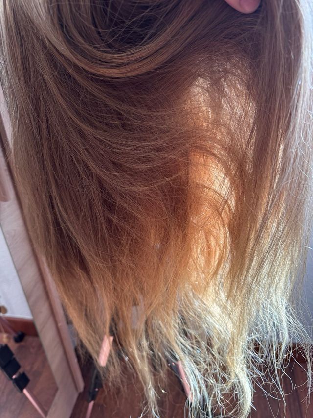 Cabeza maniquí de competicion 100% pelo natural