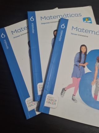 Matematicas 6 primaria