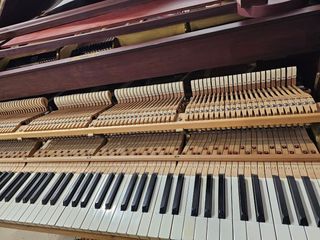 Piano de cola Chassaigne Freres