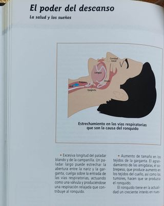 El poder del descanso. La salud y los sueños