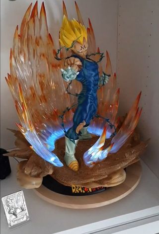 Tsume vegeta