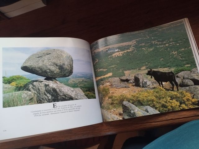 La naturaleza en Madrid