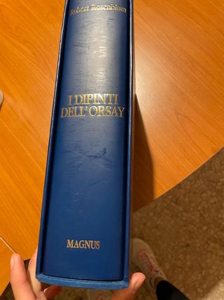 Libro i dipinti dell orsay