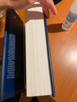 Libro i dipinti dell orsay