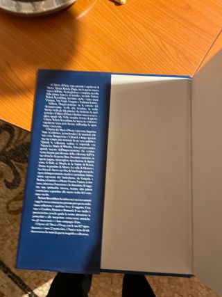 Libro i dipinti dell orsay