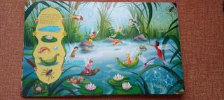 Libro Disney de Campanilla