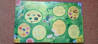 Libro Disney de Campanilla