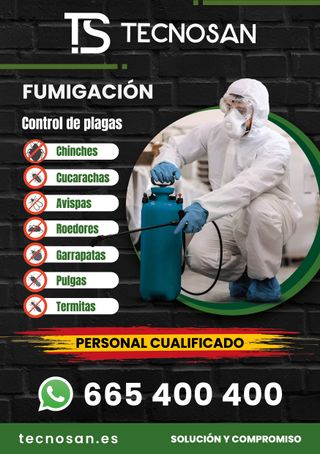 Elimina ya los CHINCHES de tu vivienda!