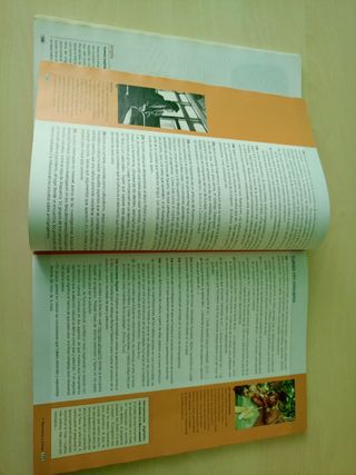 Libro filosofía 1 bachillerato