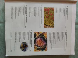 Libro de texto Biologia 1o de Bachillerato