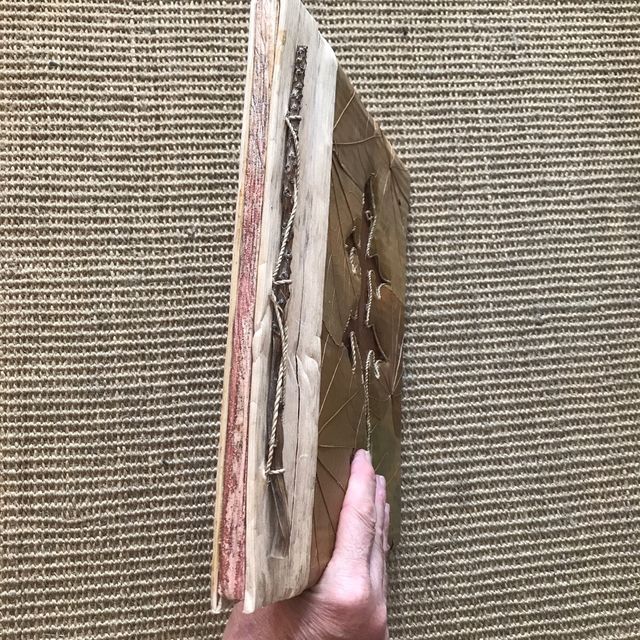 Album de fotos ecologico