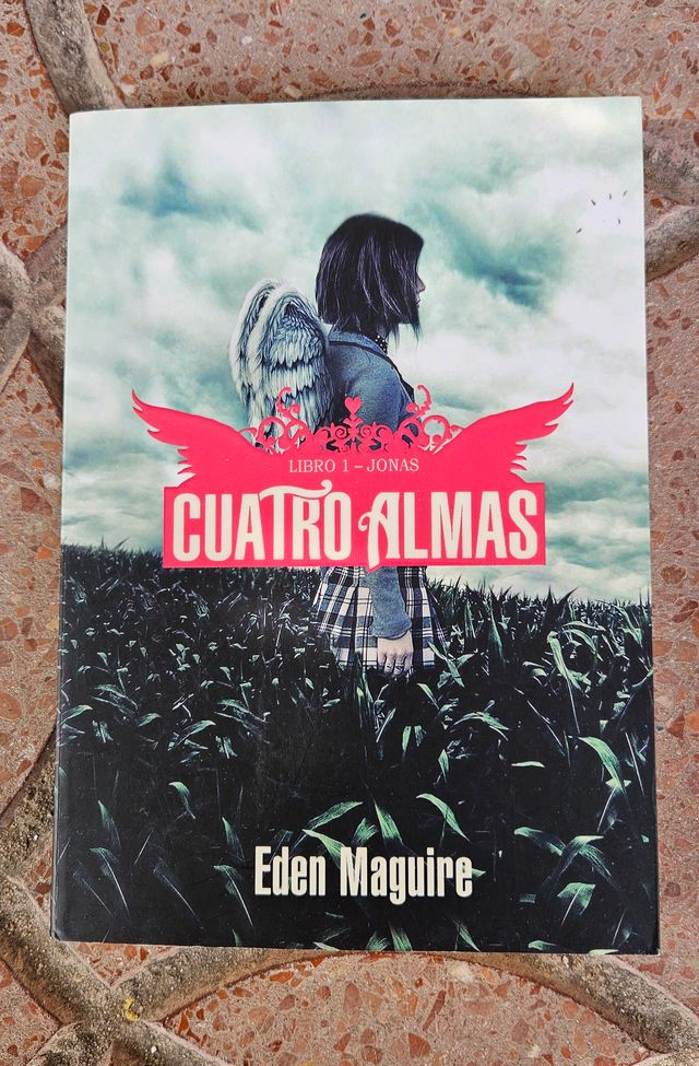 Libro " cuatro almas"