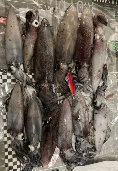 Poteras artesanas personalizadas calamar chipiron