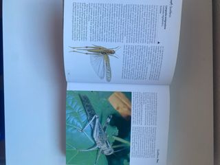 Enciclopedia de la Ciencia-Insectos