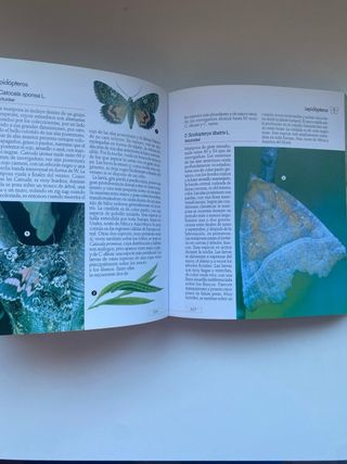 Enciclopedia de la Ciencia-Insectos