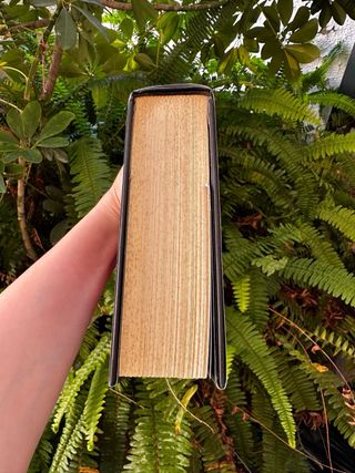 Amanecer y Eclípse - Saga crepúsculo