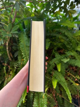 Amanecer y Eclípse - Saga crepúsculo