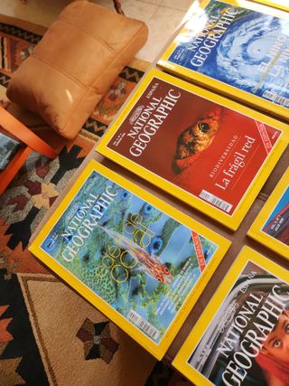 Lote 11 revistas NATIONAL GEOGRAPHIC 99