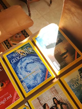 Lote 11 revistas NATIONAL GEOGRAPHIC 99