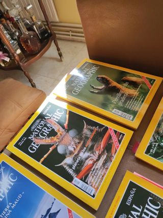 Lote 10 revistas NATIONAL GEOGRAPHIC
