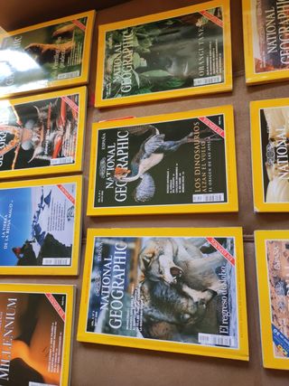 Lote 10 revistas NATIONAL GEOGRAPHIC