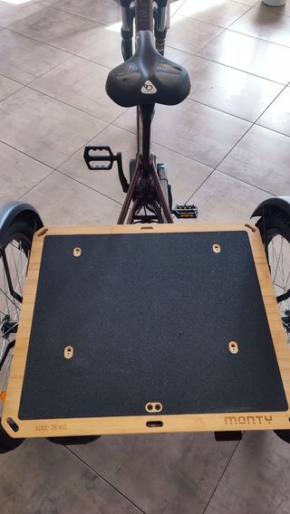 Bicicleta triciclo electrica Monty