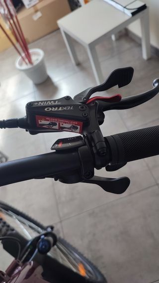 Bicicleta triciclo electrica Monty